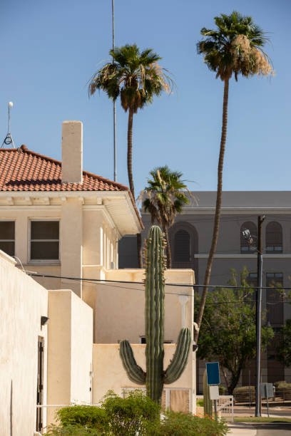 Top-Rated Roof Installation Services